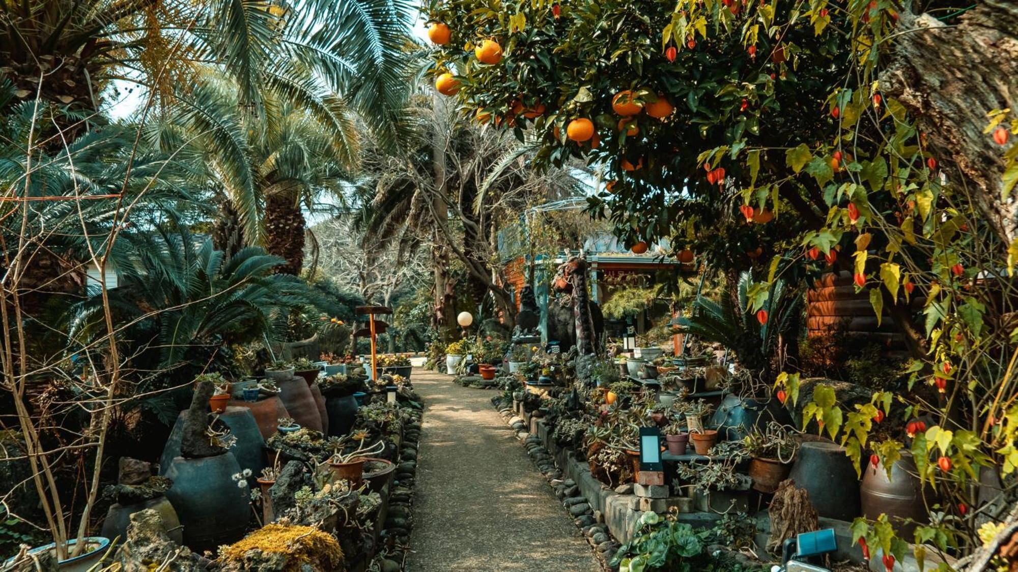 Valley Village Сеогвипо Екстериор снимка